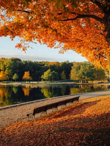 Beaver Lake. Montreal
