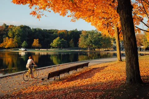 Montreal in Fall