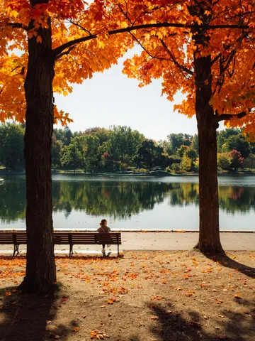 Fall colors Beaver Lake